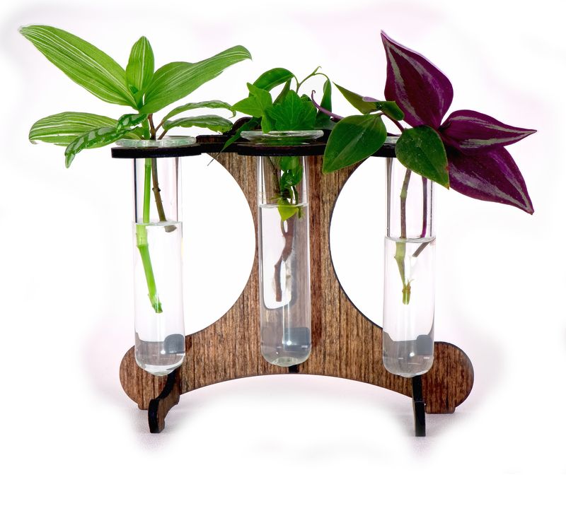 Cutting Jar set with Stand