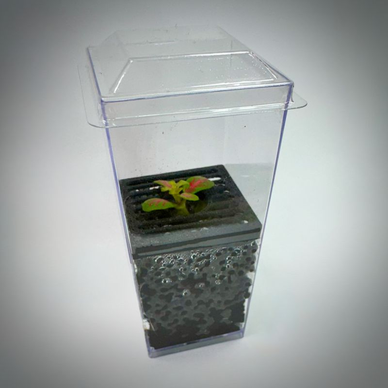 Planted Budkin Designer Series