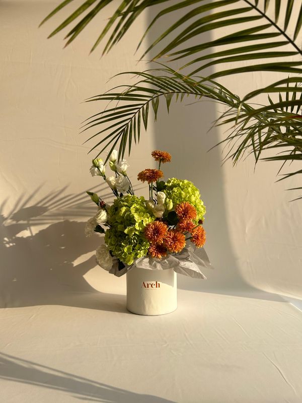 Citrus Velvet