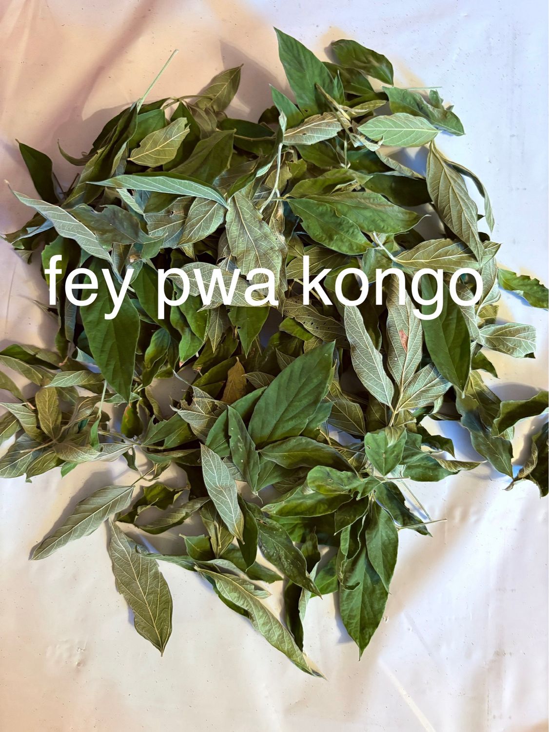 fey pwa kongo