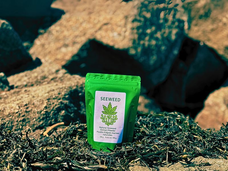 SEEWEED Soil Amendment 190G