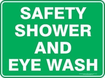 Safety Shower And Eye Wash
