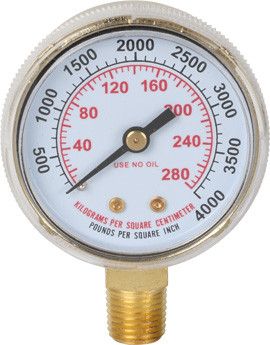 2" 100# Gauge Steel Body 1/4" NPT