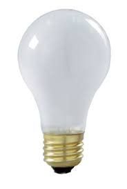 Light Bulb 100 Watt 130 Volt Rough Service (120 per case)