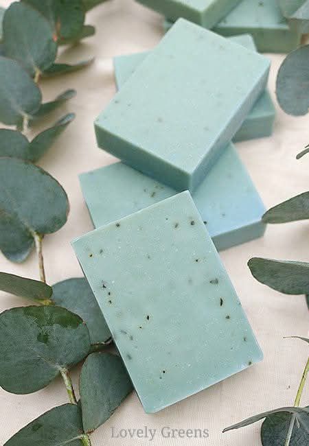 Natural Eucalyptus &amp; Tea Tree Bar