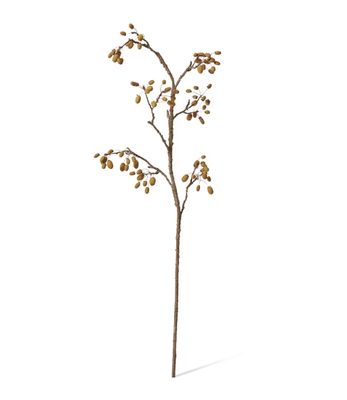 Wild Rosehip Branch - Natural