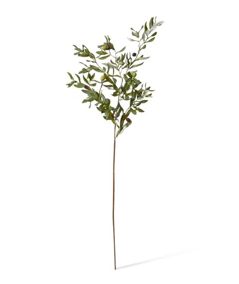 Olive Rocca Spray - 117cm
