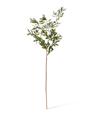 Olive Rocca Spray - 117cm