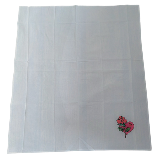 Painted Dish Towels