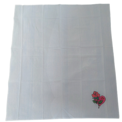 Painted Dish Towels