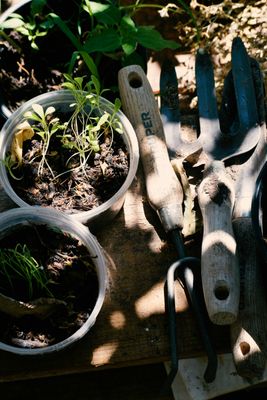 Gardening Tools