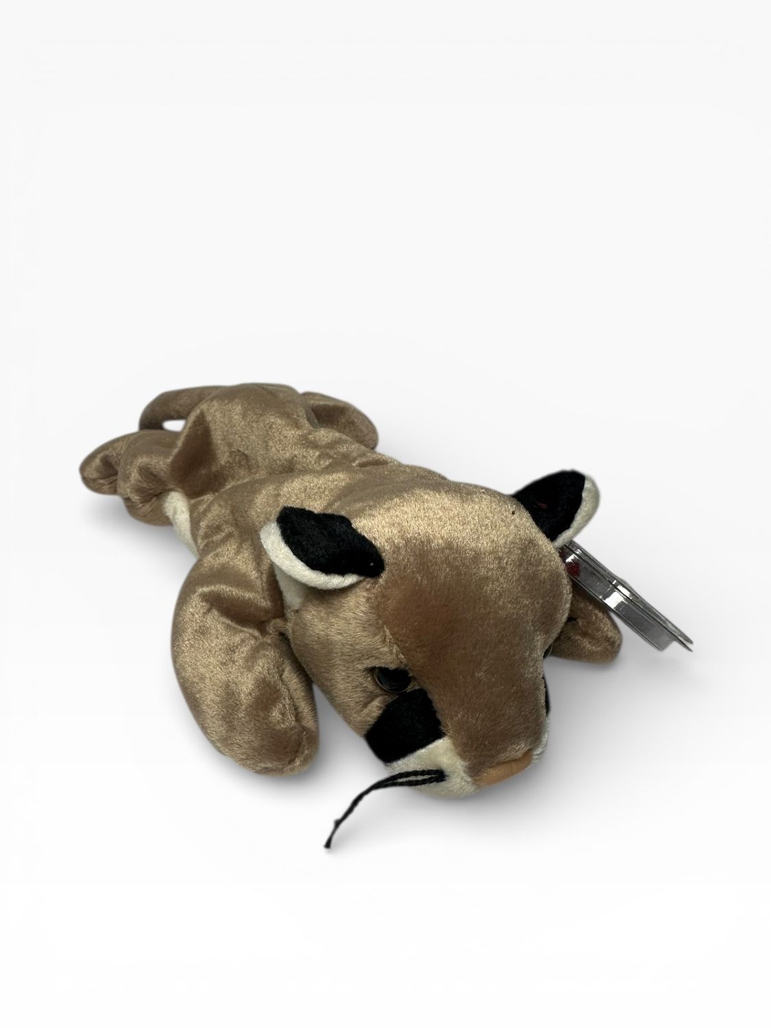 Ty Beanie Baby Canyon the Cougar