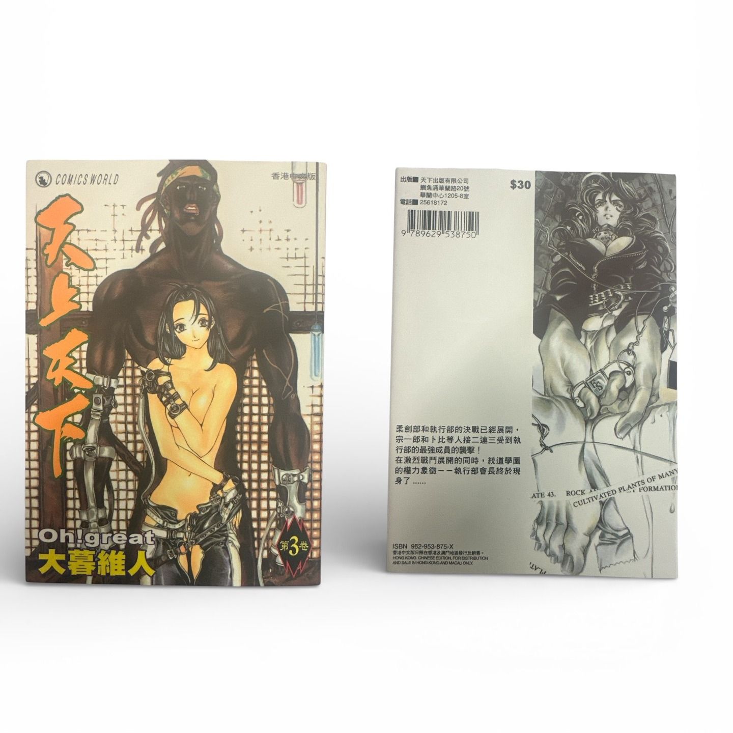 Vol.3 Chinese Language Edition of Tenjō Tenge
