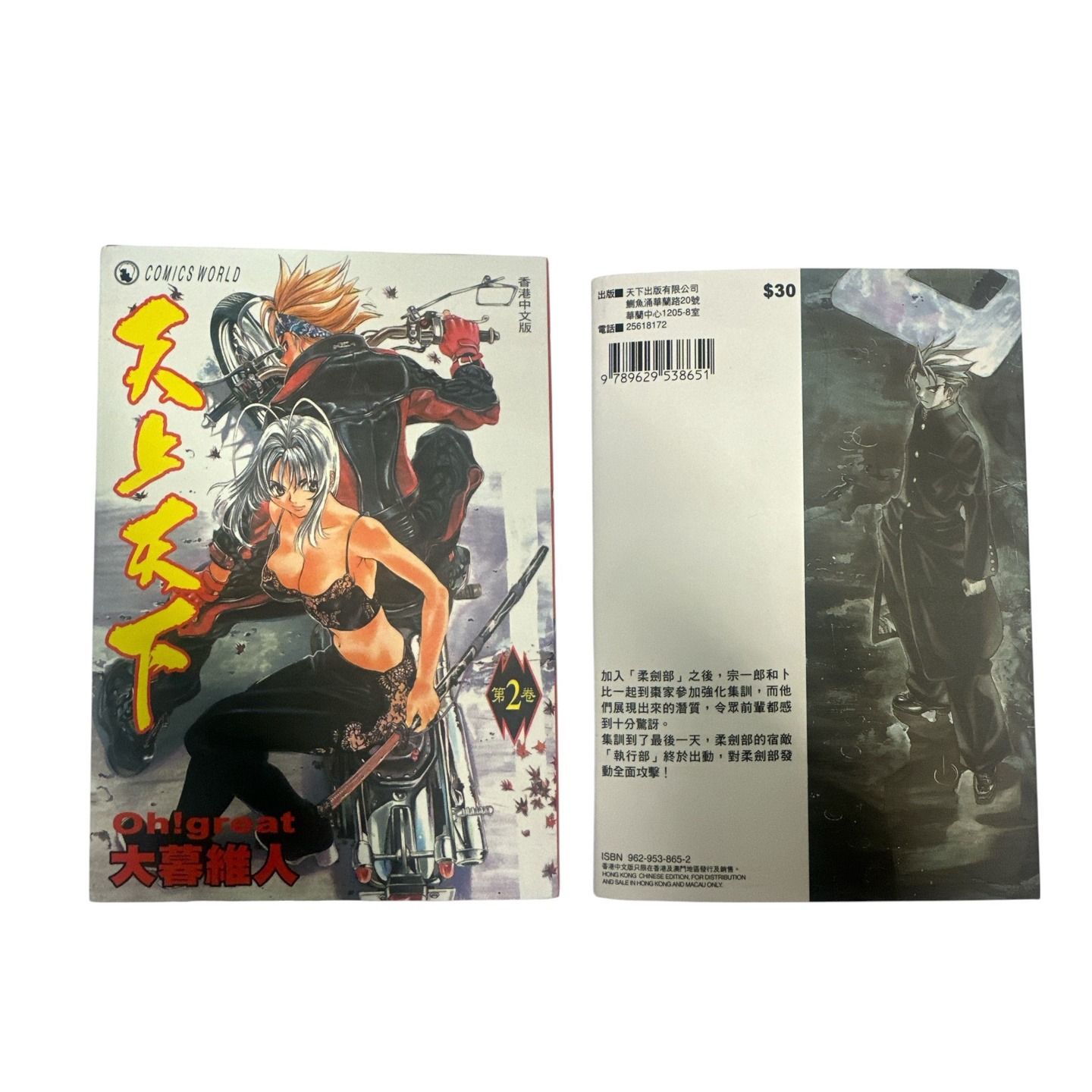 Vol.2 Chinese Language Edition of Tenjō Tenge