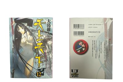 Vol.12 Japanese Language Edition of Tenjō Tenge