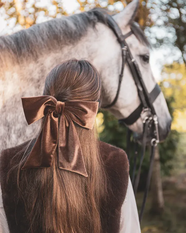 Large Velvet Hair Bow Brown