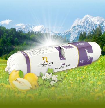 Geit in de Alpenweide