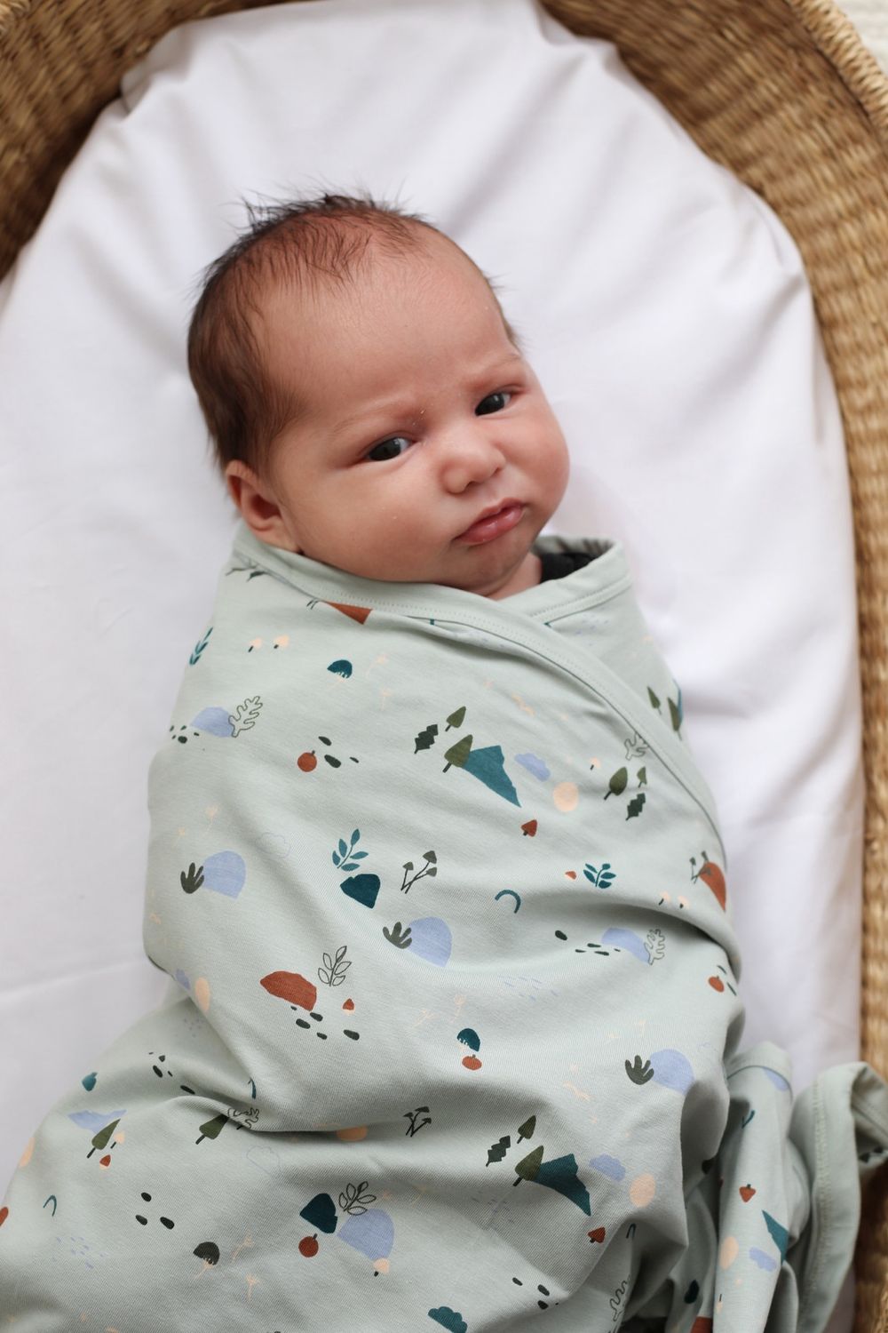 Burrow &amp; Be - Garden Treasures Swaddle