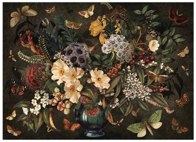 Flora &amp; Fauna of NZ