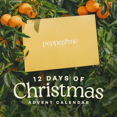 12 Days of Christmas Advent Calendar