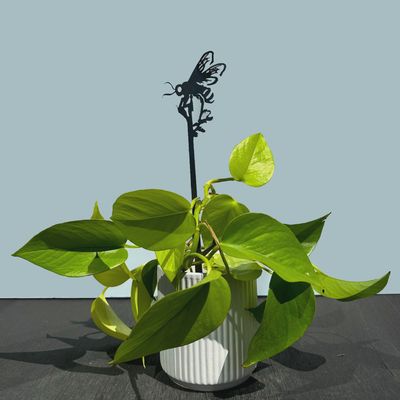 Honey Bee Plant Stake - 70cm