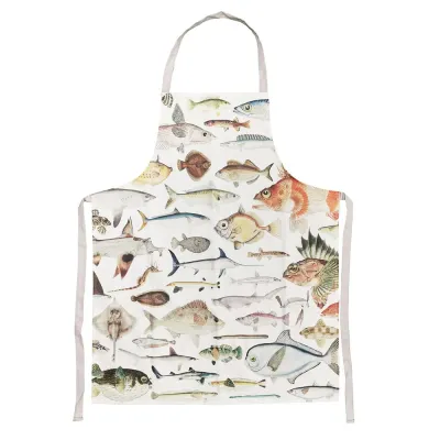 Cotton Apron Fishes Of New Zealand