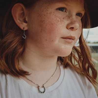 Horse Shoe Hoops