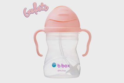 Sippy Cup V2 Tutti Frutti