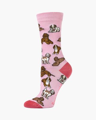 Cavoodle Sock
