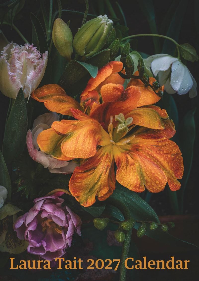 Laura Tait - 2027 Wall Calendar