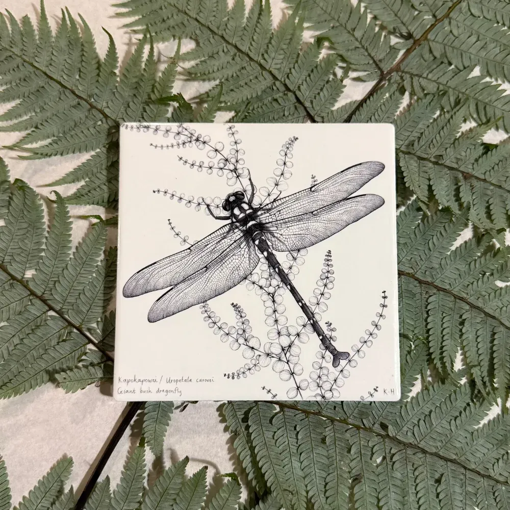 Katy Hayward Coaster - NZ Giant Dragonfly / Kapokapowai