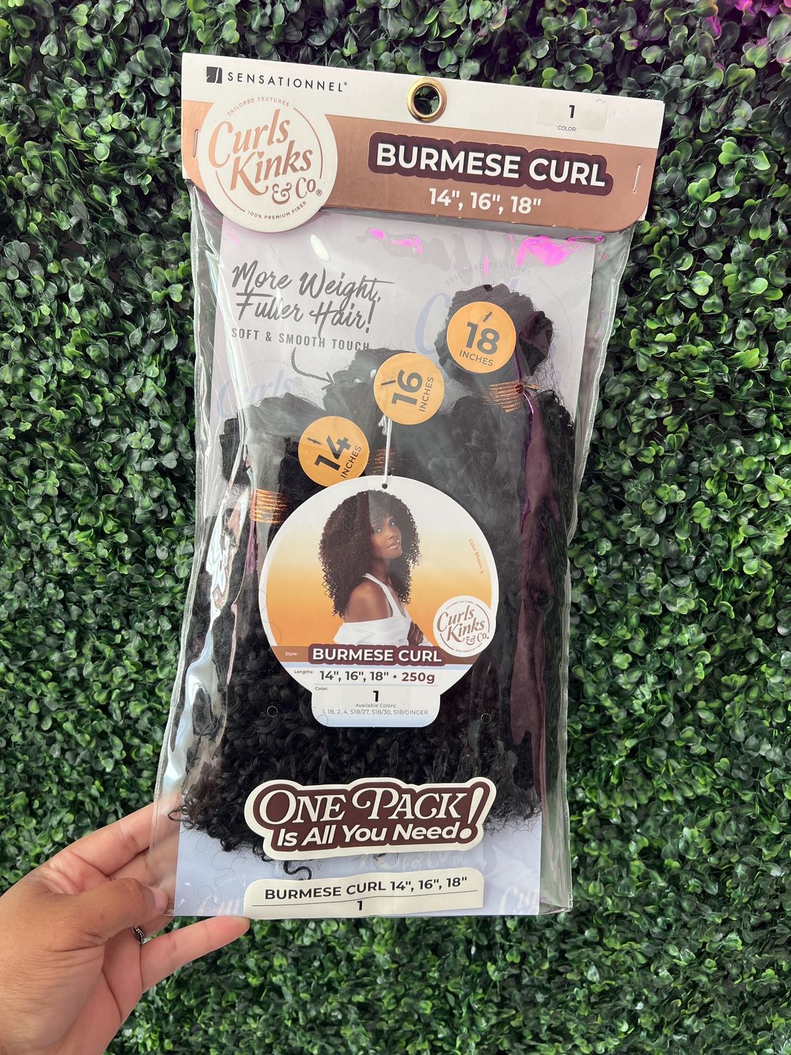 BURMESE CURL 14/16/18 CK&amp;CO MULTI-1