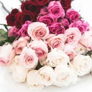 Roses