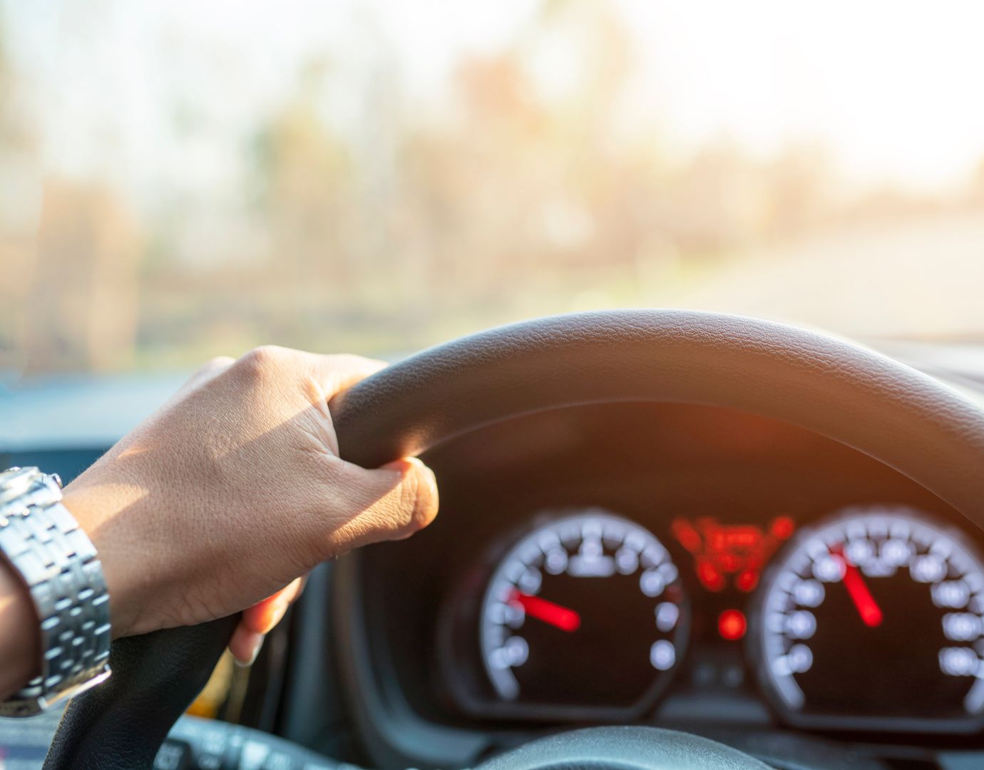 DWI-I Repeat Offender Program