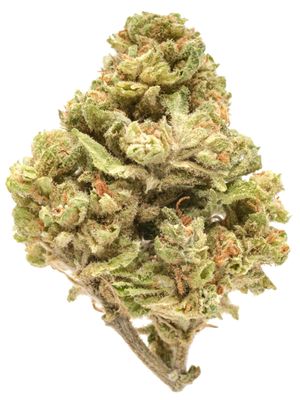 ACAPULCO GOLD | 25.04 % | 1 OZ