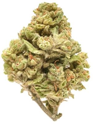 PREMIUM THCA FLOWER