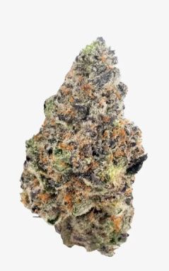 MONKEY BERRIES | 28.83 %