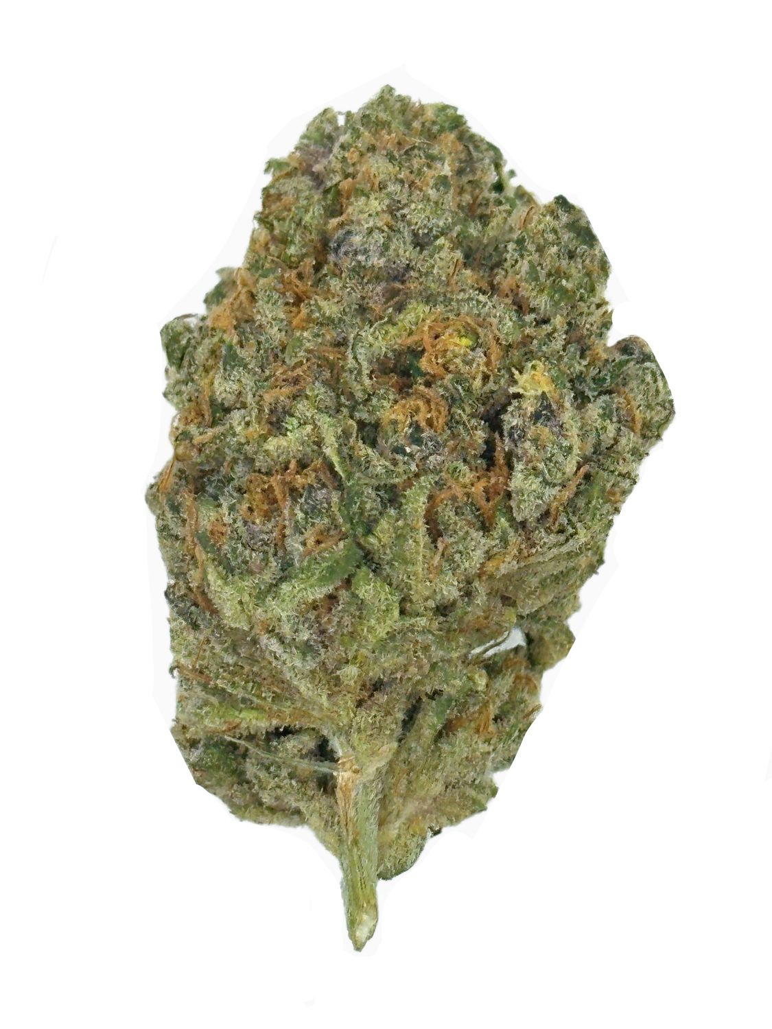 SOUR BLUEBERRY | 30.0 %