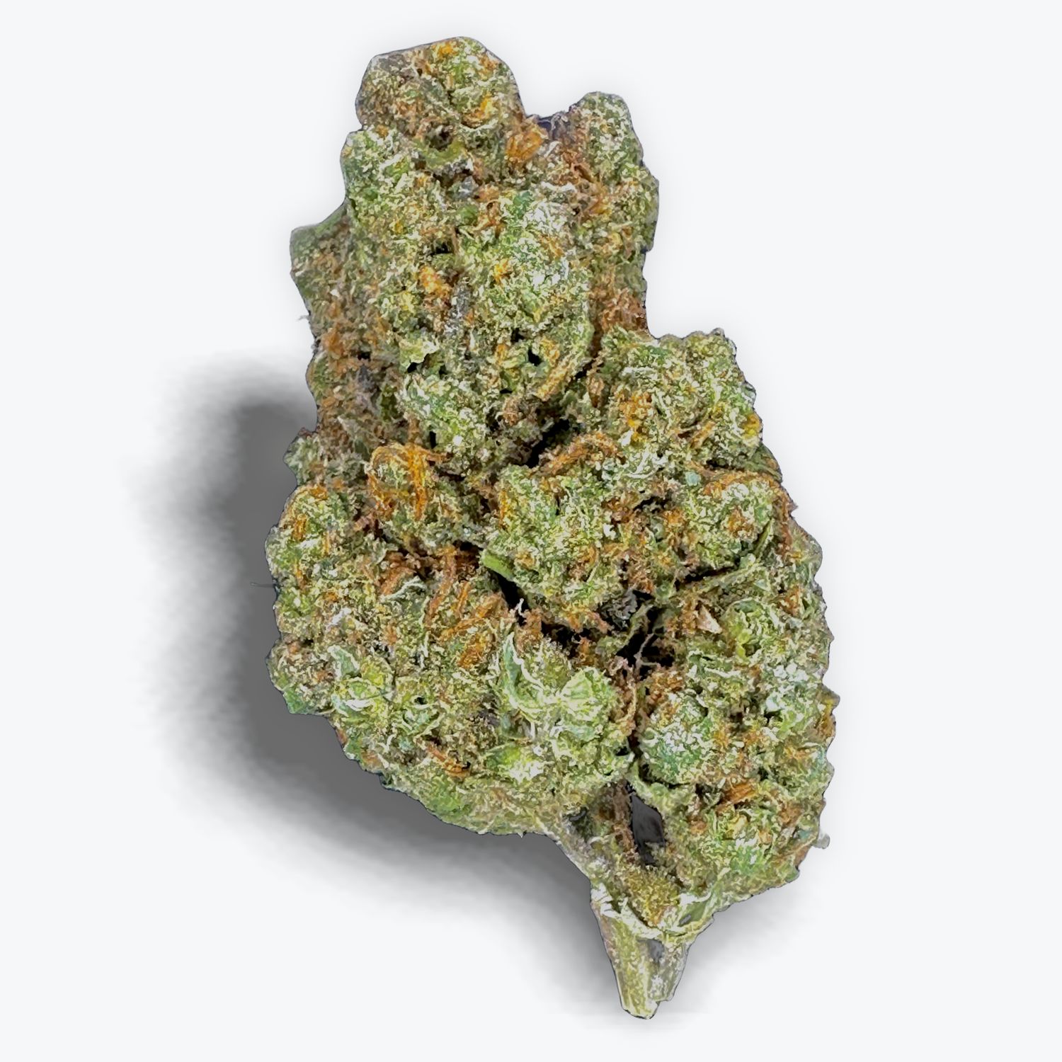 Silver Surfer | 32.64 %