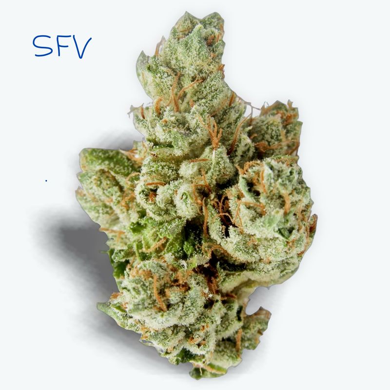 SFV OG | 34.06 %. Sativa SFV OG | 34.06 %. Sativa