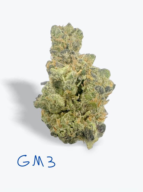 GM3 - 31.26%.               Hybrid