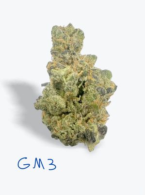 GM3 - 31.26%.               Hybrid