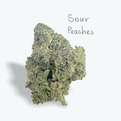 Sour peaches - 31.27 % Hybrid Sour peaches - 31.27 % Hybrid