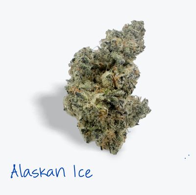Alaskan Ice - 31.04%        Sativa