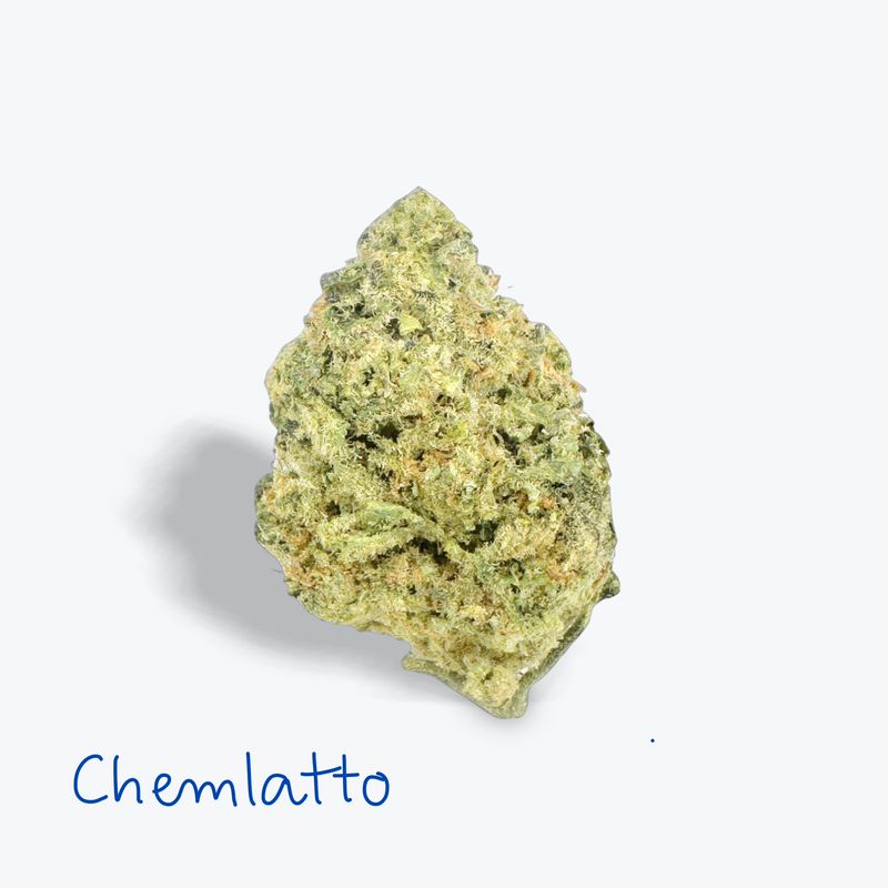Chemlatto - 31.37%          Hybrid