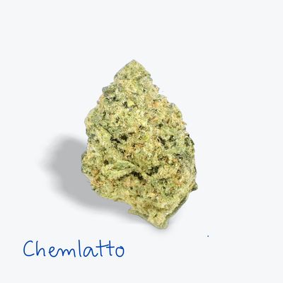 Chemlatto - 31.37%          Hybrid