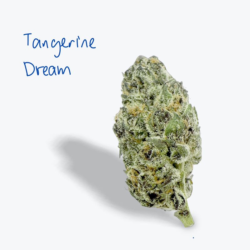 Tangerine Dream 28.8% Sativa Dom Hybrid Tangerine Dream 28.8% Sativa Dom Hybrid
