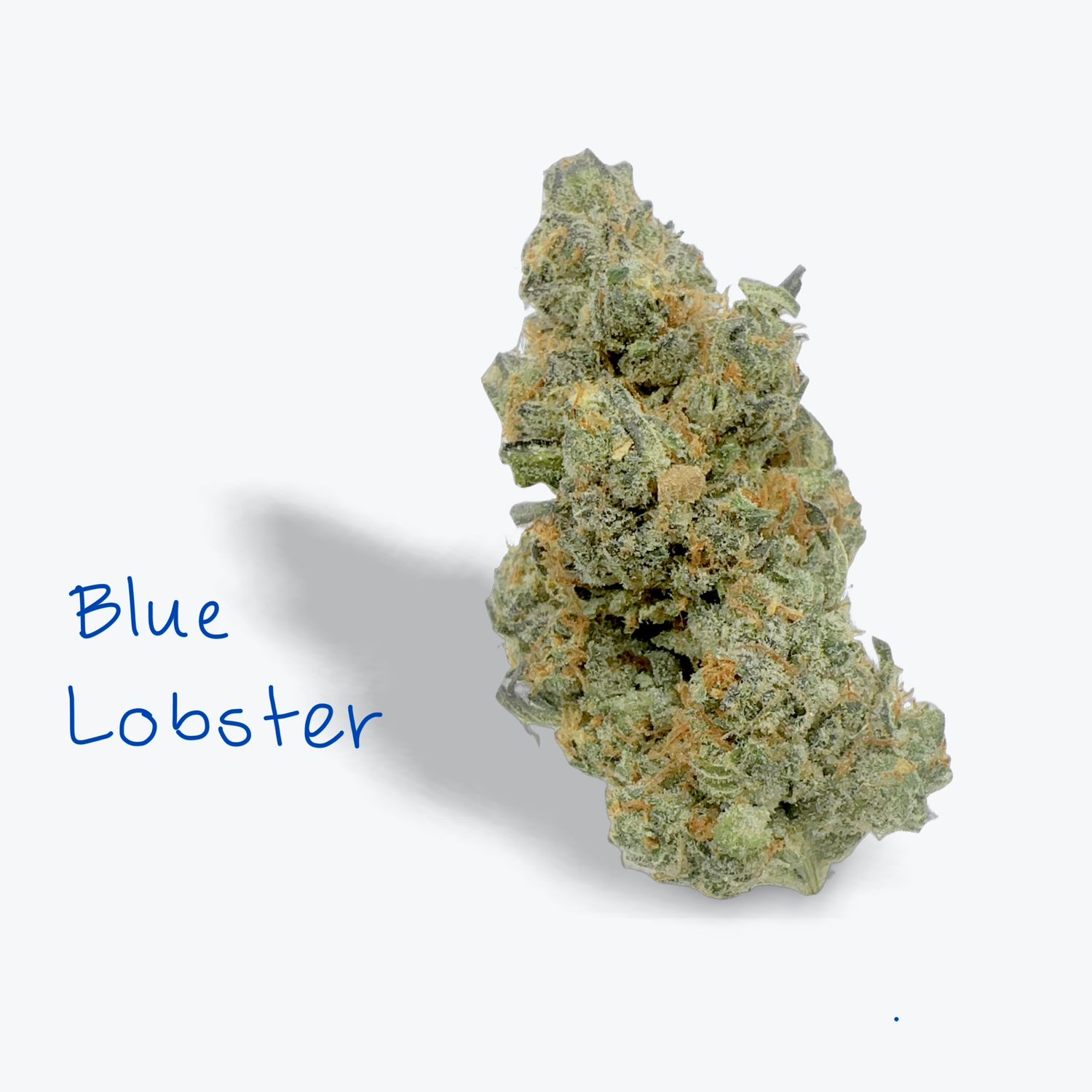 Blue Lobster - 29.92% Indica Dom Hybrid