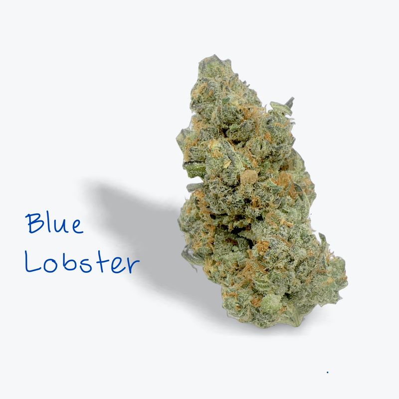 Blue Lobster - 29.92% Indica Dom Hybrid Blue Lobster - 29.92% Indica Dom Hybrid