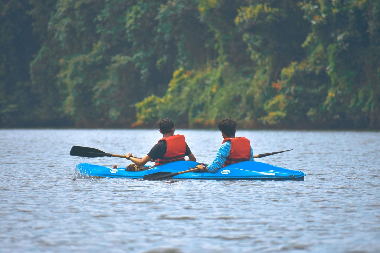 Kayak (Sample Product)